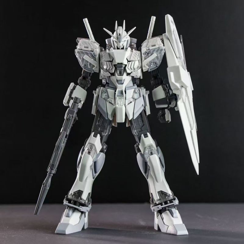 Model Kit Gundam Hg - HG1/144 Narrative C Coating Action Figures