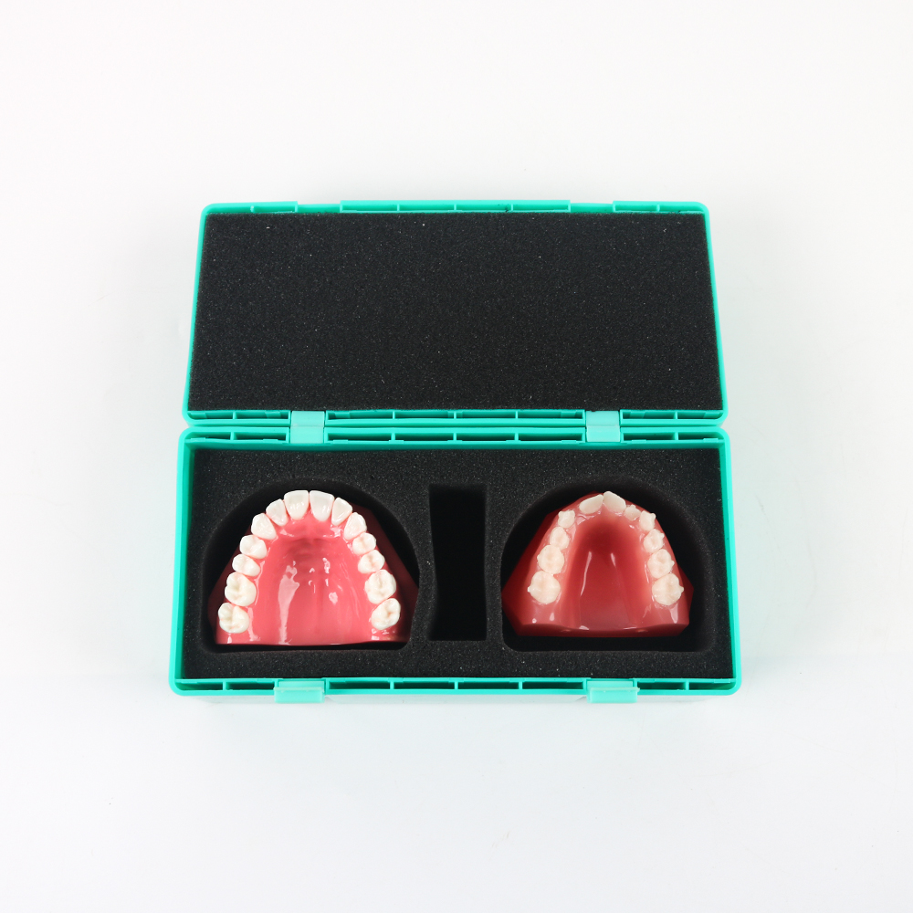 10pcs Custom Manual Dental Kit - огляд і ціна Model Kit Manual